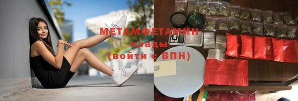 гидра Богородск