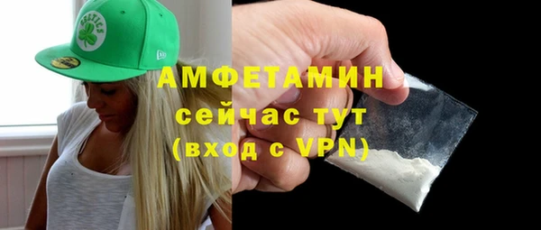 гидра Богородск