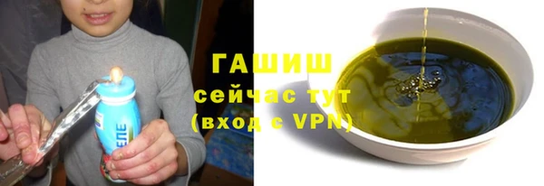 гидра Богородск