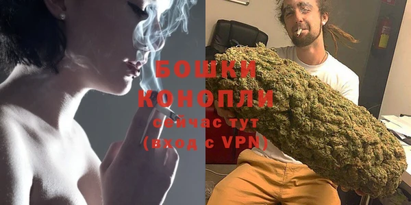 гидра Богородск