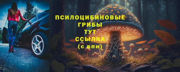 гидра Богородск