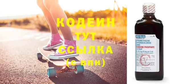 прущий лед Бородино